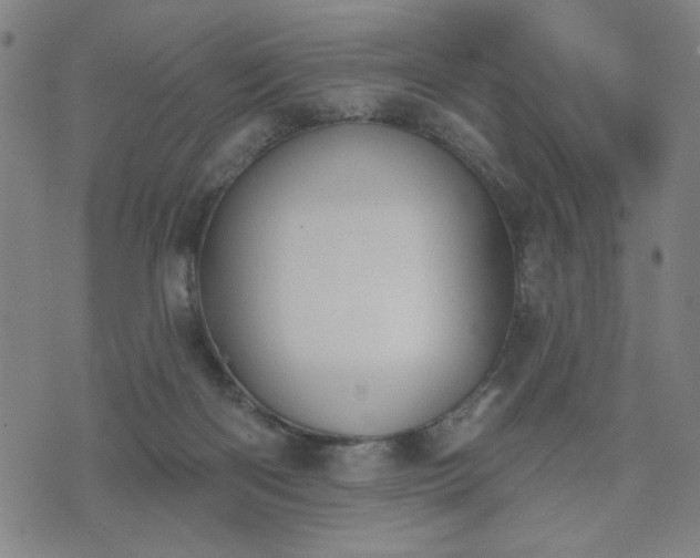 X0000074320122200609011547