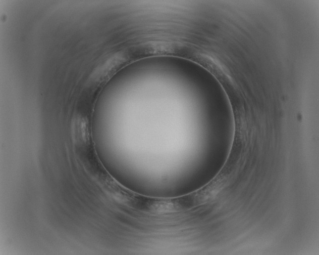 X0000074320123200609011547