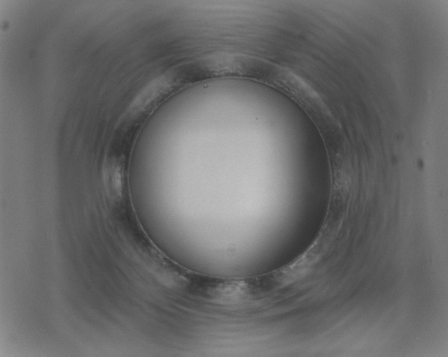 X0000074320124200609011547