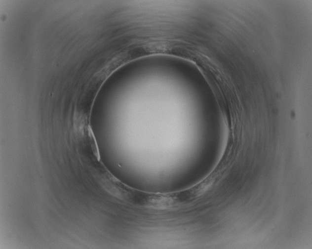 X0000074320125200609011547