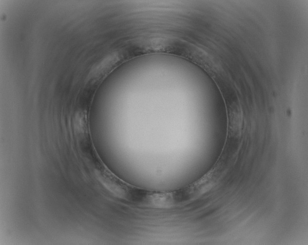 X0000074320126200609011547