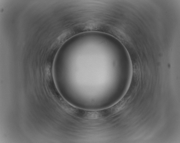 X0000074320127200609011547