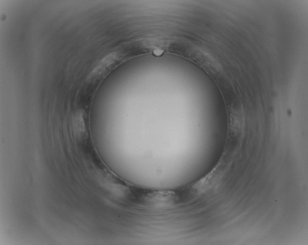 X0000074320128200609011547