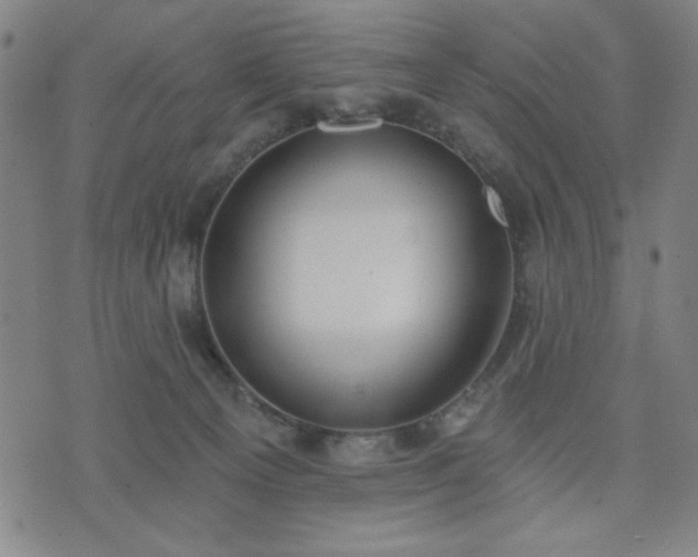 X0000074320129200609011547