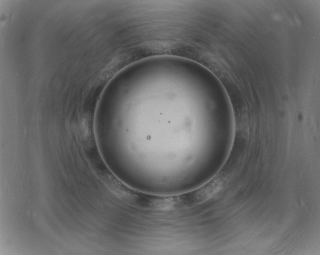 X0000074320131200609011547