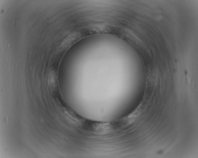 X0000074320132200609011547