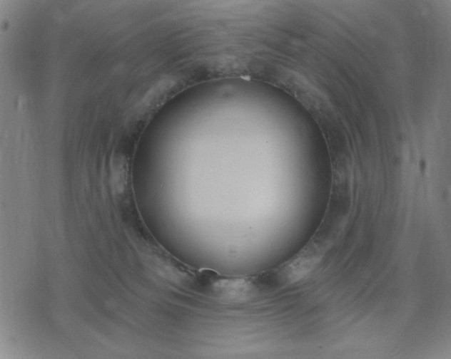 X0000074320133200609011547