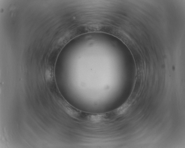 X0000074320134200609011547