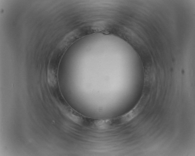 X0000074320136200609011547