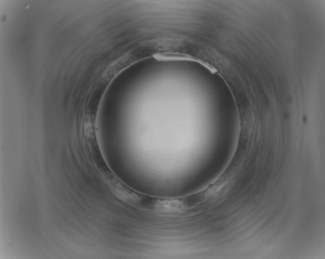 X0000074320137200609011547