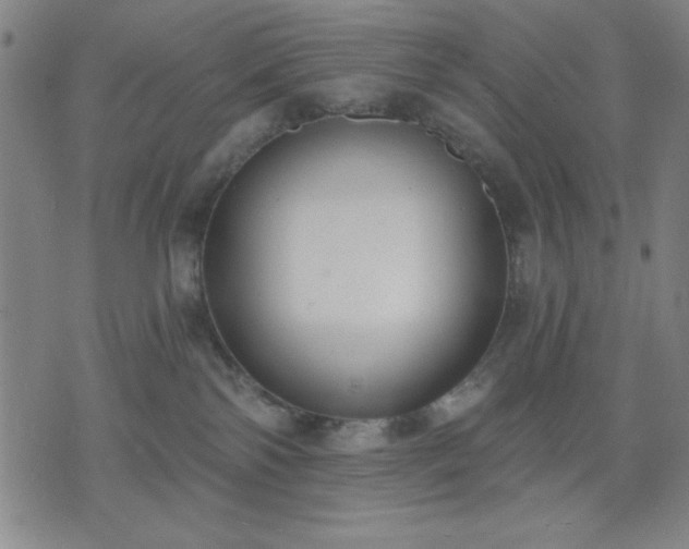 X0000074320138200609011547