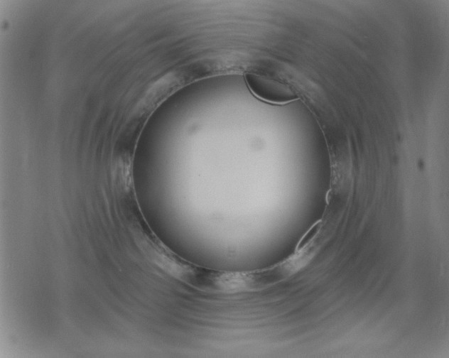 X0000074320142200609011547