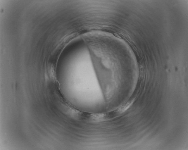 X0000074320143200609011547