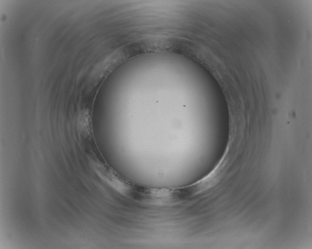 X0000074320144200609011547