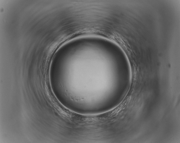 X0000074320145200609011546