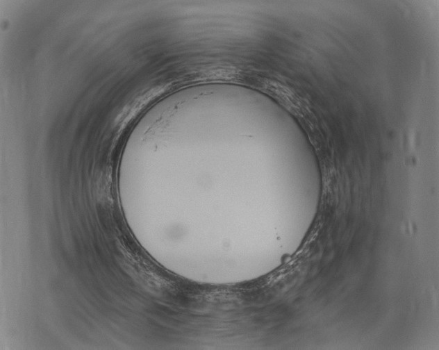 X0000074320146200609011546