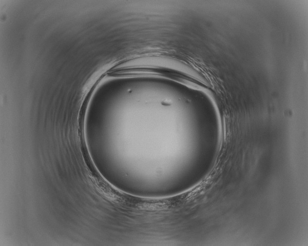 X0000074320147200609011546