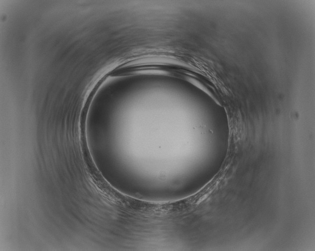 X0000074320148200609011546