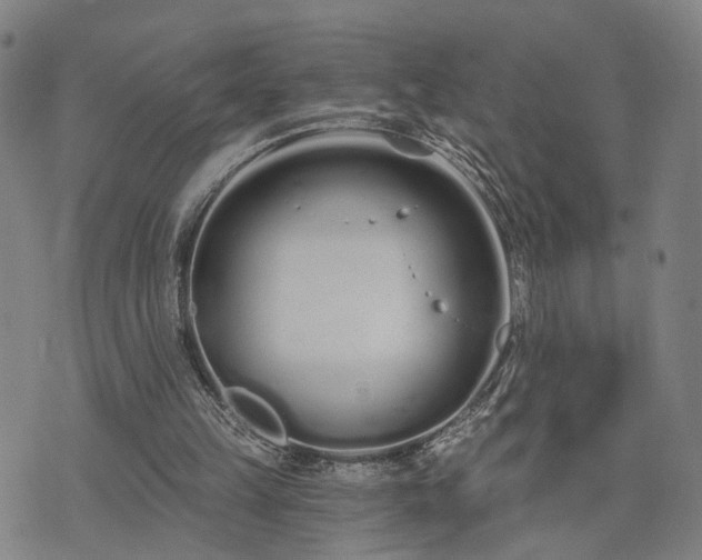 X0000074320149200609011546