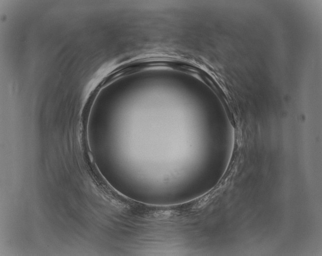 X0000074320152200609011546