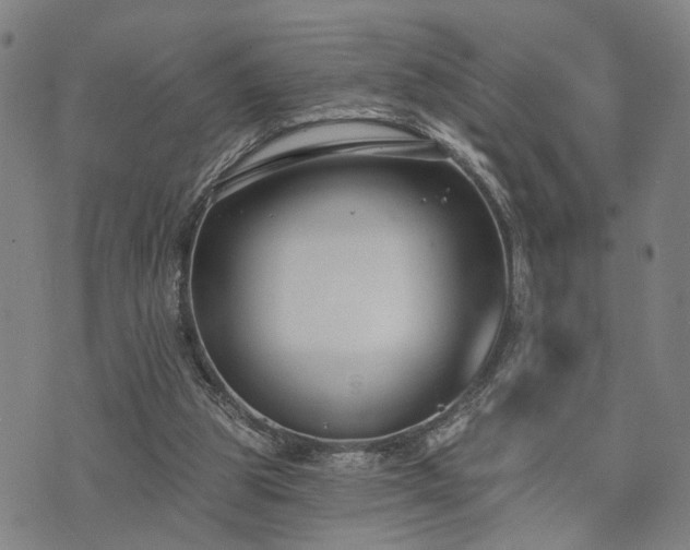 X0000074320153200609011546