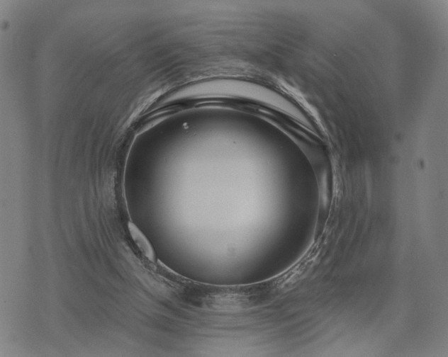 X0000074320154200609011546