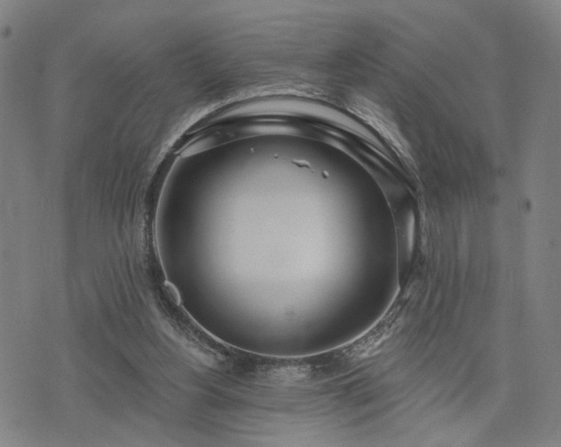 X0000074320156200609011546