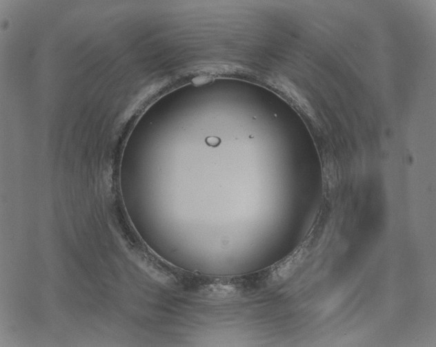 X0000074320159200609011546