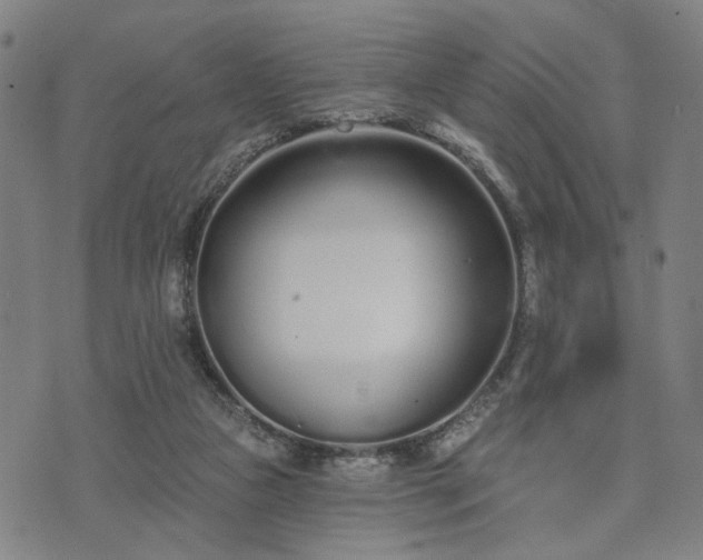 X0000074320161200609011546