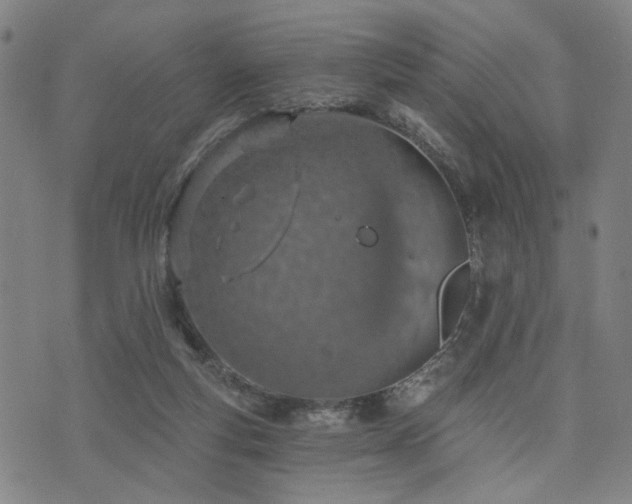 X0000074320163200609011546