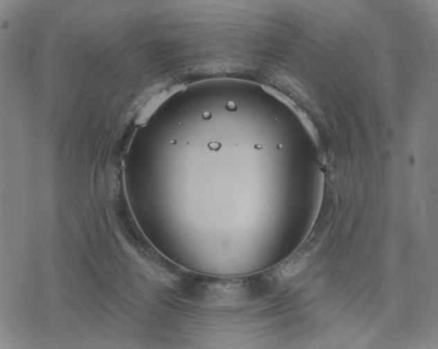 X0000074320164200609011546