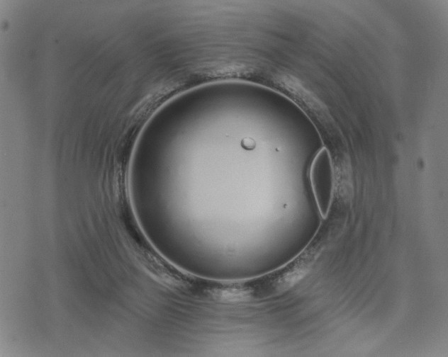 X0000074320165200609011546