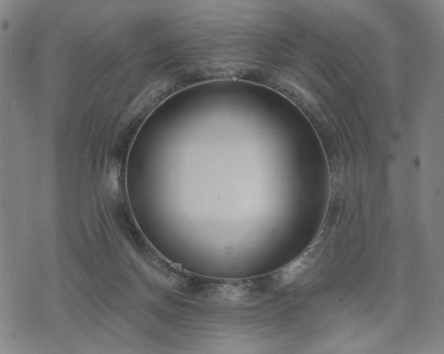 X0000074320166200609011546