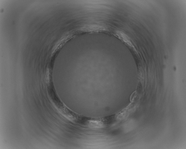 X0000074320167200609011546