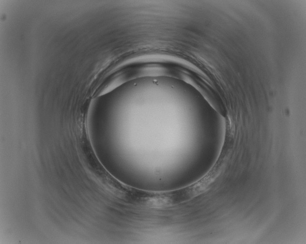 X0000074320168200609011546