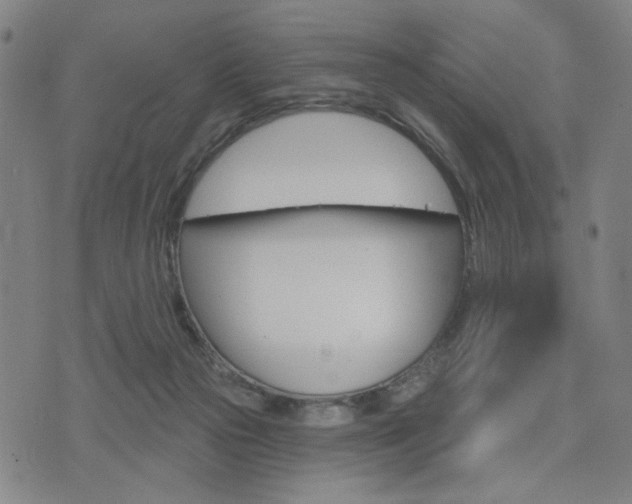 X0000074320169200609011546