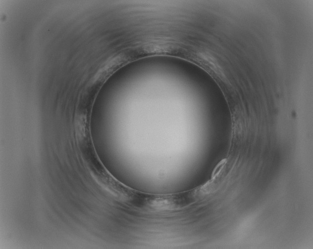 X0000074320171200609011546