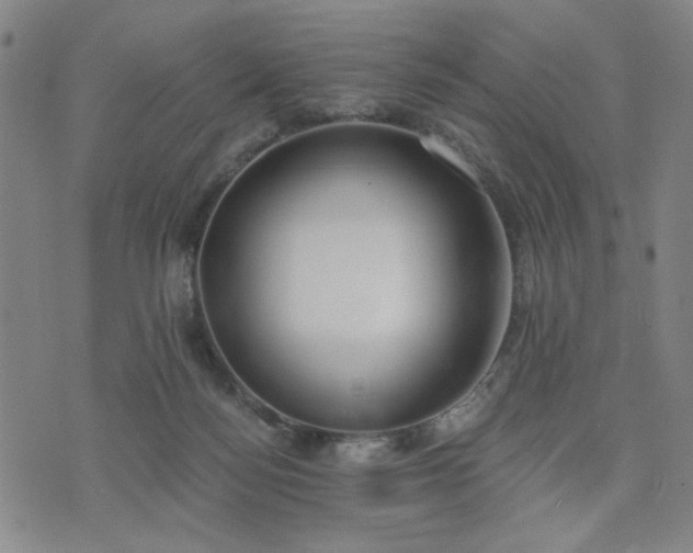 X0000074320172200609011546