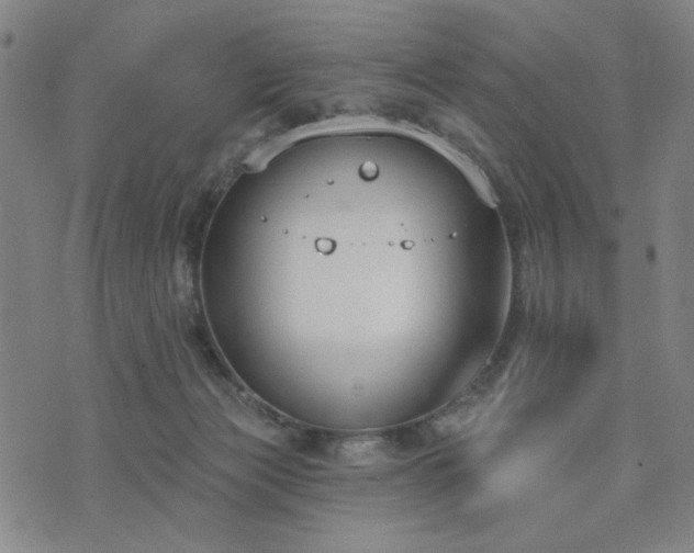 X0000074320173200609011546