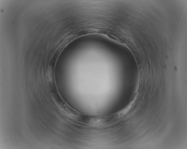 X0000074320174200609011546