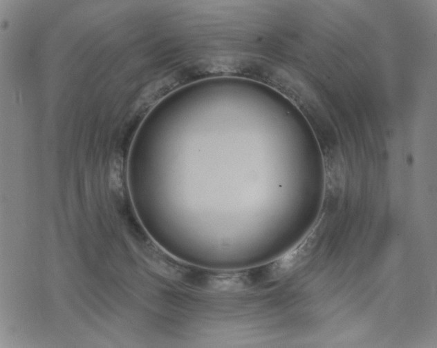 X0000074320175200609011546