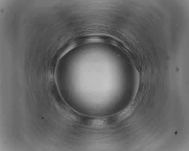 X0000074320176200609011547