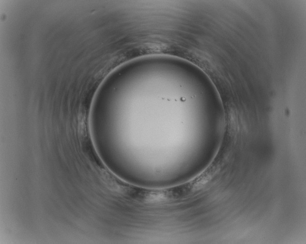 X0000074320177200609011547