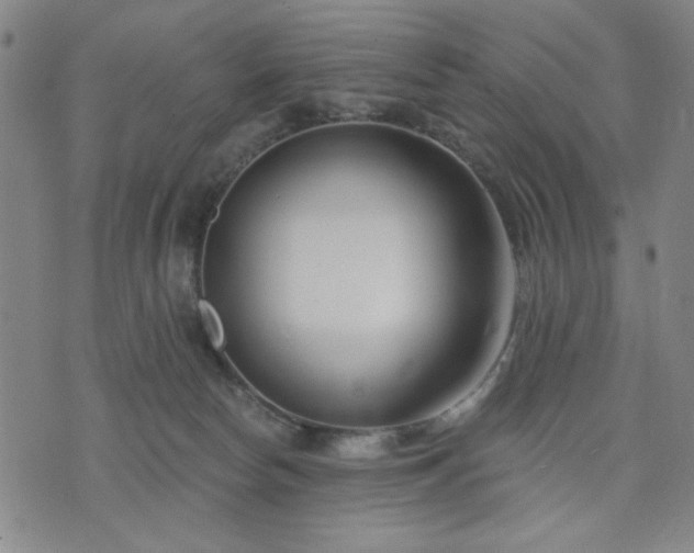 X0000074320178200609011547