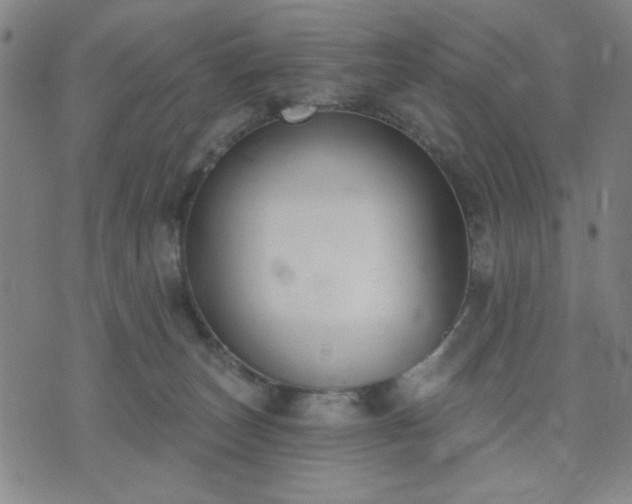 X0000074320179200609011547