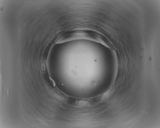 X0000074320180200609011547