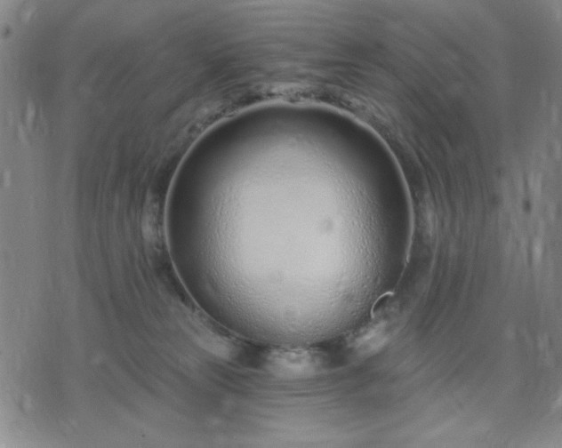 X0000074320181200609011547