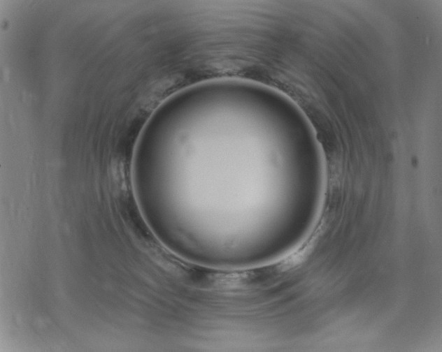 X0000074320182200609011547