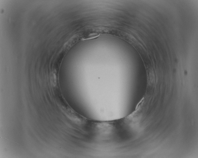 X0000074320183200609011547