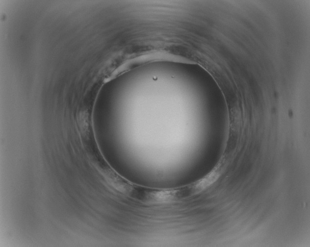 X0000074320184200609011547